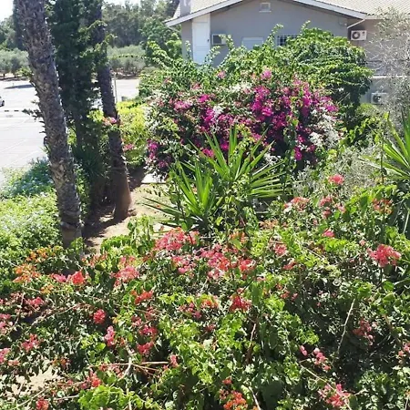 Sunny Family By The Nyaraló