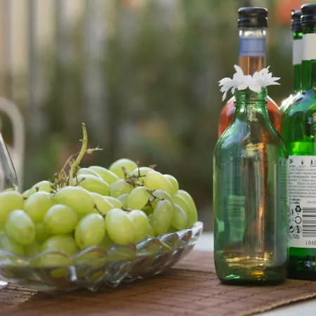 Sunny Family By The *