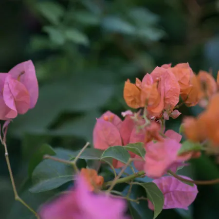 Sunny Family By The Hébergement de vacances