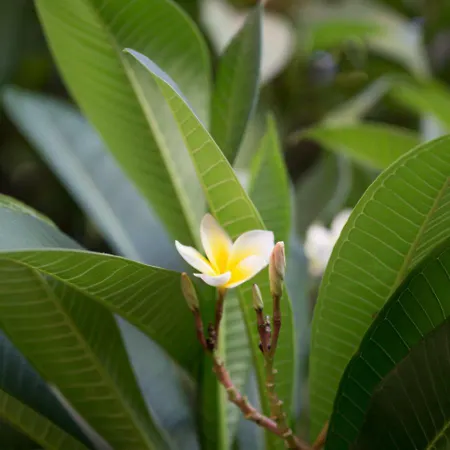 Sunny Family By The Hébergement de vacances Limassol