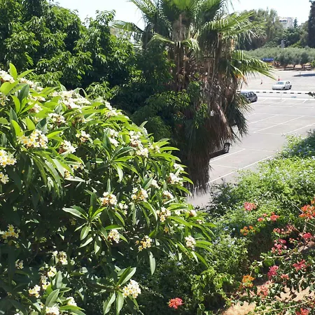 Sunny Family By The * Limassol