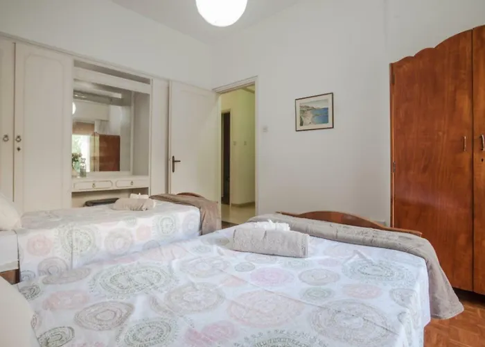 Sunny Family By The *