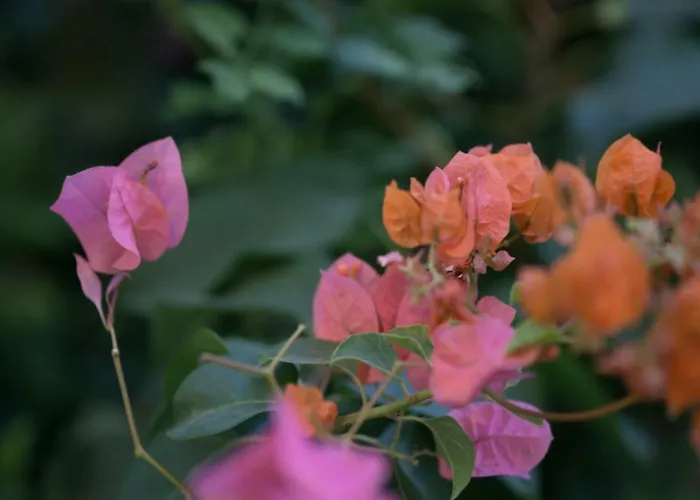 Sunny Family By The Сasa de vacaciones