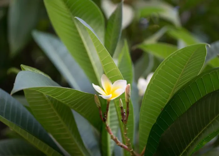 Sunny Family By The Сasa de vacaciones Limassol