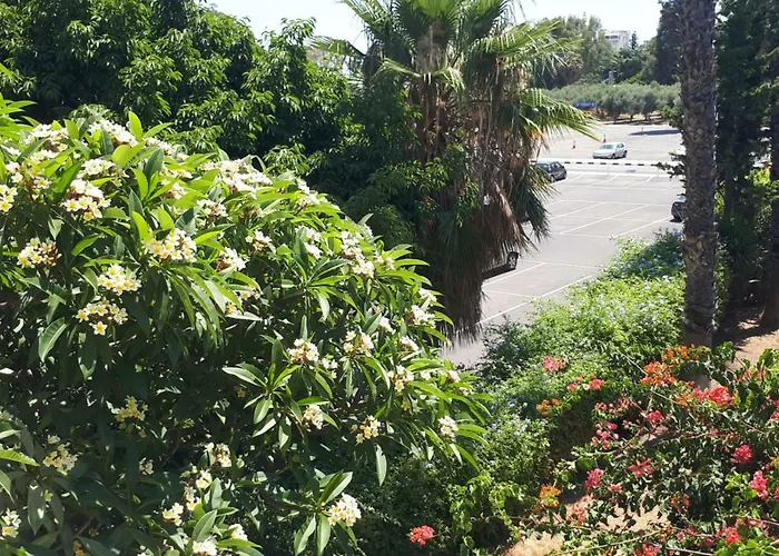 Sunny Family By The * Limassol